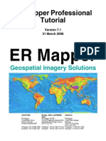 Tutorial ER Mapper