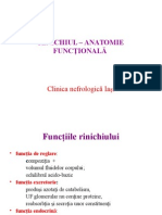A.anatomia Functionala, Compartimente Lichidiene