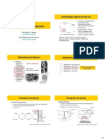1 Aula - Culturas Lácticas - 2014
