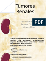 Tumores Renales: Clasificación y Características de los Principales Tipos
