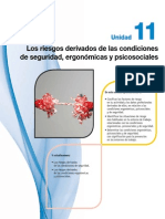 Riesgos Seguridad Ergonomia Psicosociales Mc Graw Hill