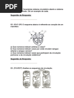 sistema circulatorio