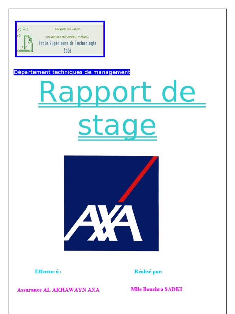 Rapport De Stage Actionnaire Assurance