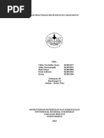 Download Laporan Praktikum Ekologi Mangrove by Hasan SN260541530 doc pdf