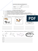 Evaluación de Ciencias Naturales Nº2 4º