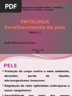 AULA 2 - Envelhecimento Da Pele