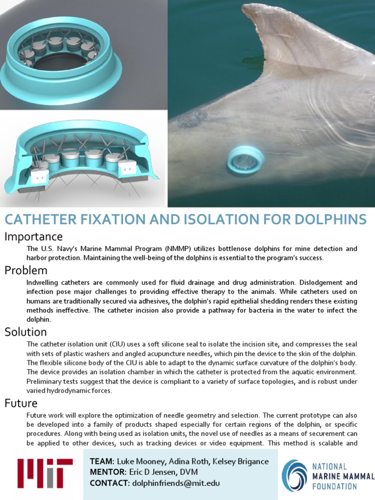 Onepager | PDF