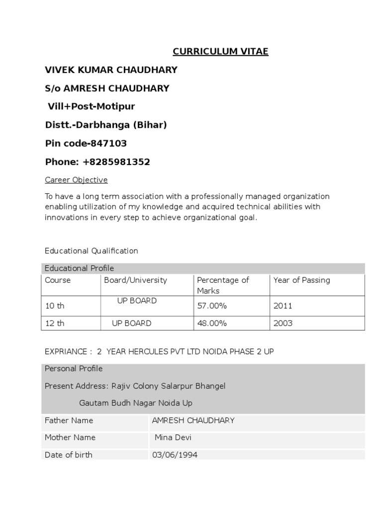 Curriculum Vitae Vivek Kumar Chaudhary S/O Amresh Chaudhary Vill+Post