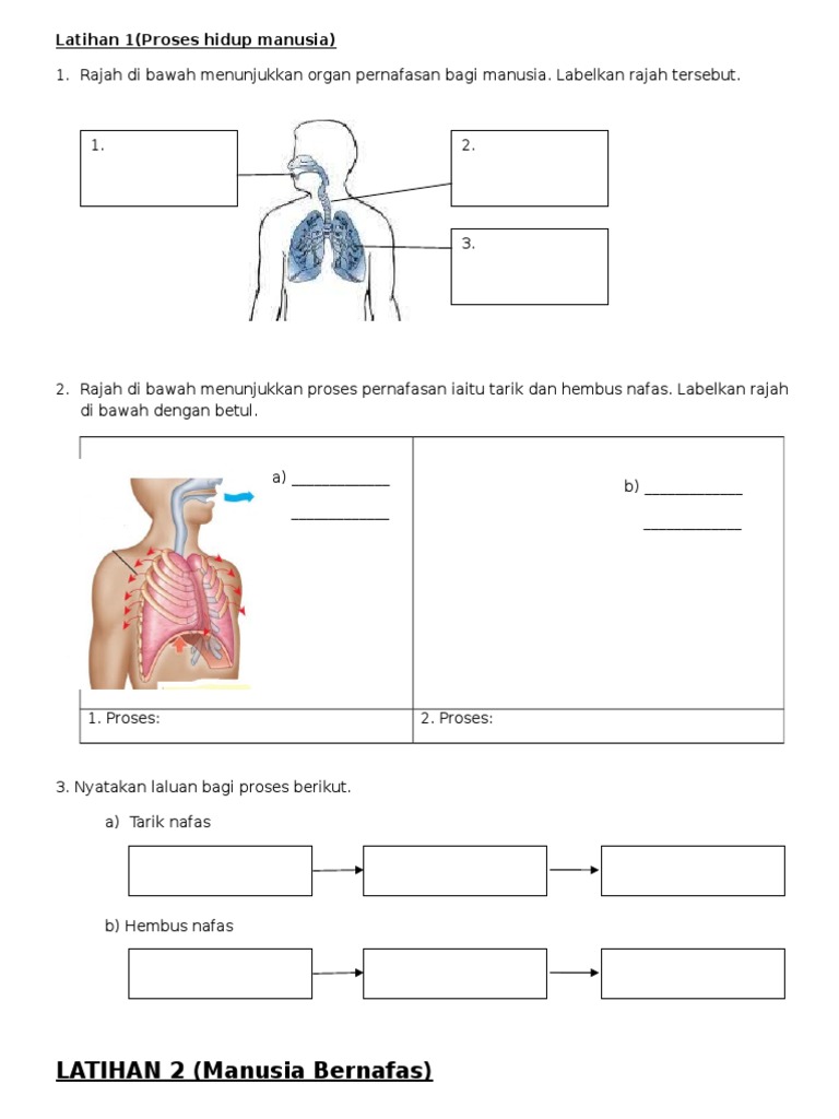 Latihan 1(Proses Hidup Manusia)