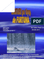 www.nicepps.ro_9149_Sfaturi pe timp de furtuna.pps