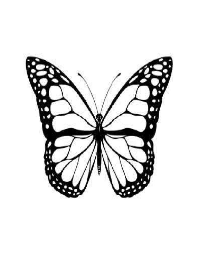 stencil-butterfly