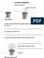 Latihan 4 (Keperluan Asas Tumbuhan)