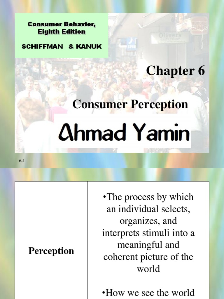 Understanding Consumer Perception | PDF | Perception | Brand