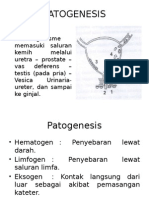 Patogenesis ISK 