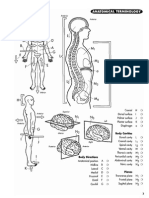 Anatomy-Coloring-Workbook.pdf