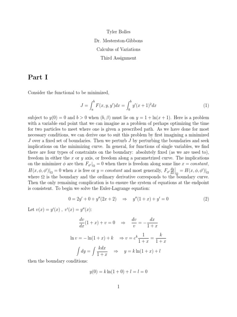 Calculus of Variations Project | PDF | Calculus Of Variations ...