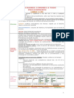 Esquema Disposiciones Comunes A Todo Procedimiento