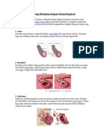 Pelbagai Penyakit Yang Berkaitan Dengan Sistem Respirasi