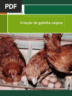 Galinha Caipira