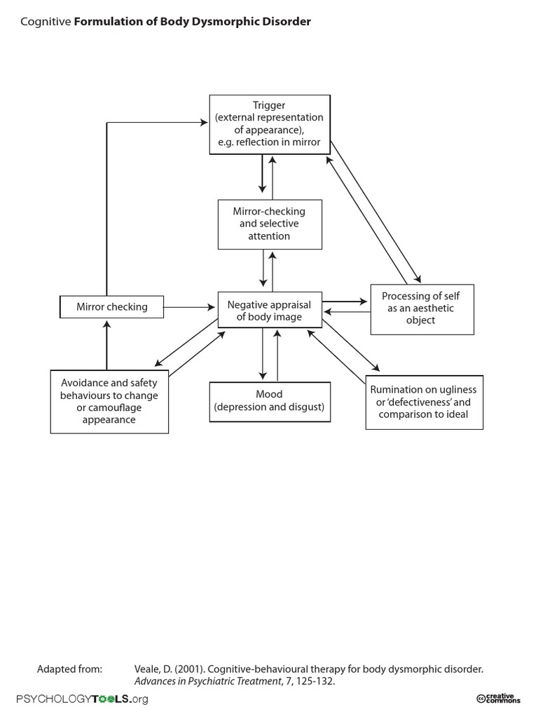 Cognitive Formulation of BDD | PDF