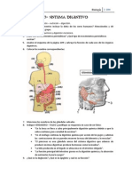TP - Sistema Digestivo PDF