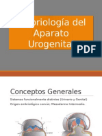Embriologia Del Aparato Urogenital