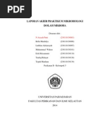 Download isolasi mikroba by Taufiq Hidayat SN260623686 doc pdf