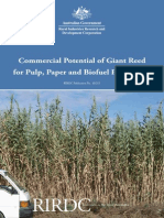 Commercial Potential of Giant Reed
