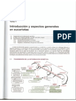 Generalidades Célular Procariótica y Eucariótica PDF