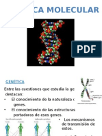 ACIDOS NUCLEICOS