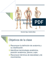 Introducción a La Anatomía Humana