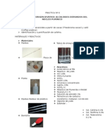 Practica #6 Farmacognoscia