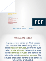 Presentation Sed 409 - Paranasal
