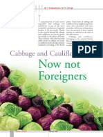 Cabbage and Cauliflower Now Not Foreigners