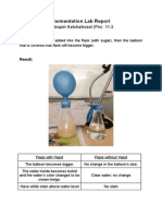 Fermentation Lab Report: Natnapin Ketchaikosol (Pin) 11-3