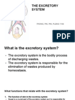 Excretory System Presentation