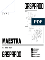 Gaspardo MAESTRA 2004-02 (19530520)