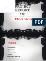 Ebola Project Report: Symptoms, Transmission, Prevention