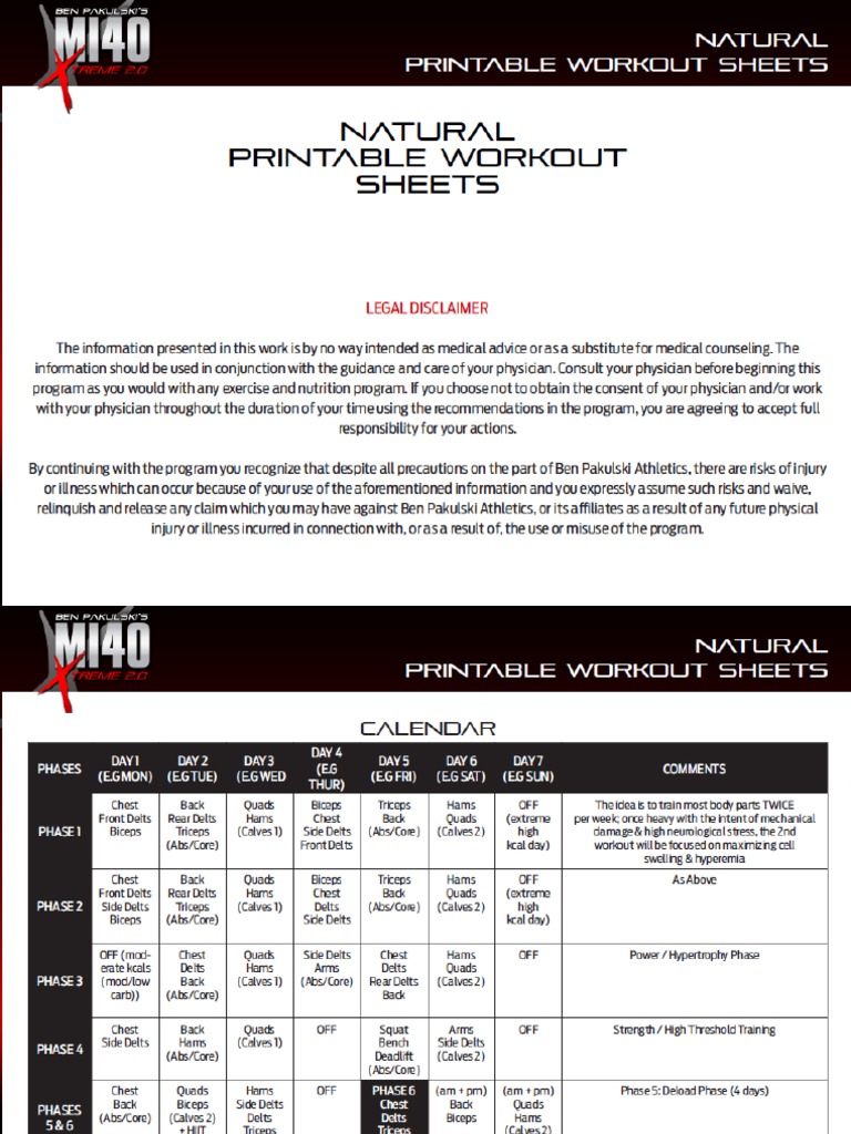 MI40X - Natural Worksheet | PDF