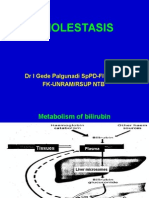 Cholestasis: DR I Gede Palgunadi Sppd-Finasim Fk-Unram/Rsup NTB