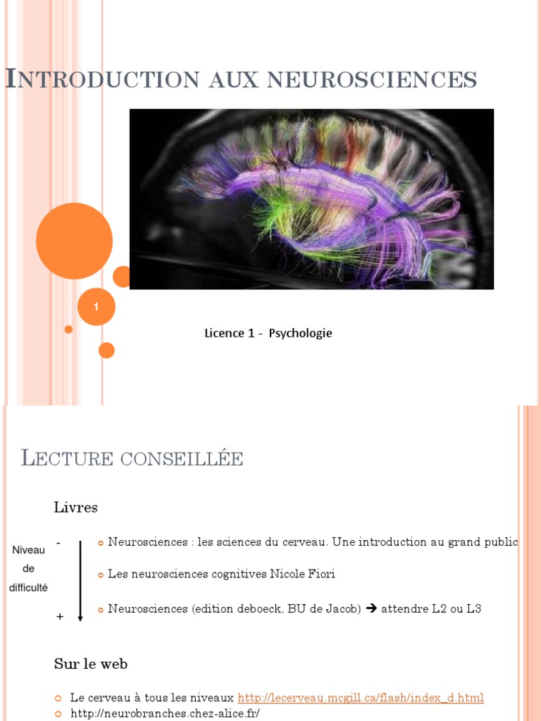 Introduction aux neurosciences L1 | PDF | Neuroscience | Cerveau