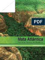 01 Mata Atlantica