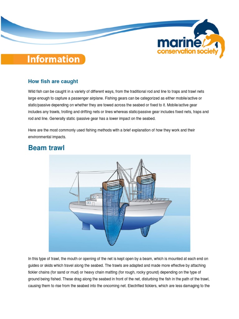 Fishing Methods - Trawling