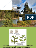 The Communication of Plants