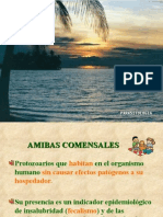 Amibas Comensales Def