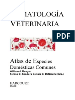 Atlas Hematologia
