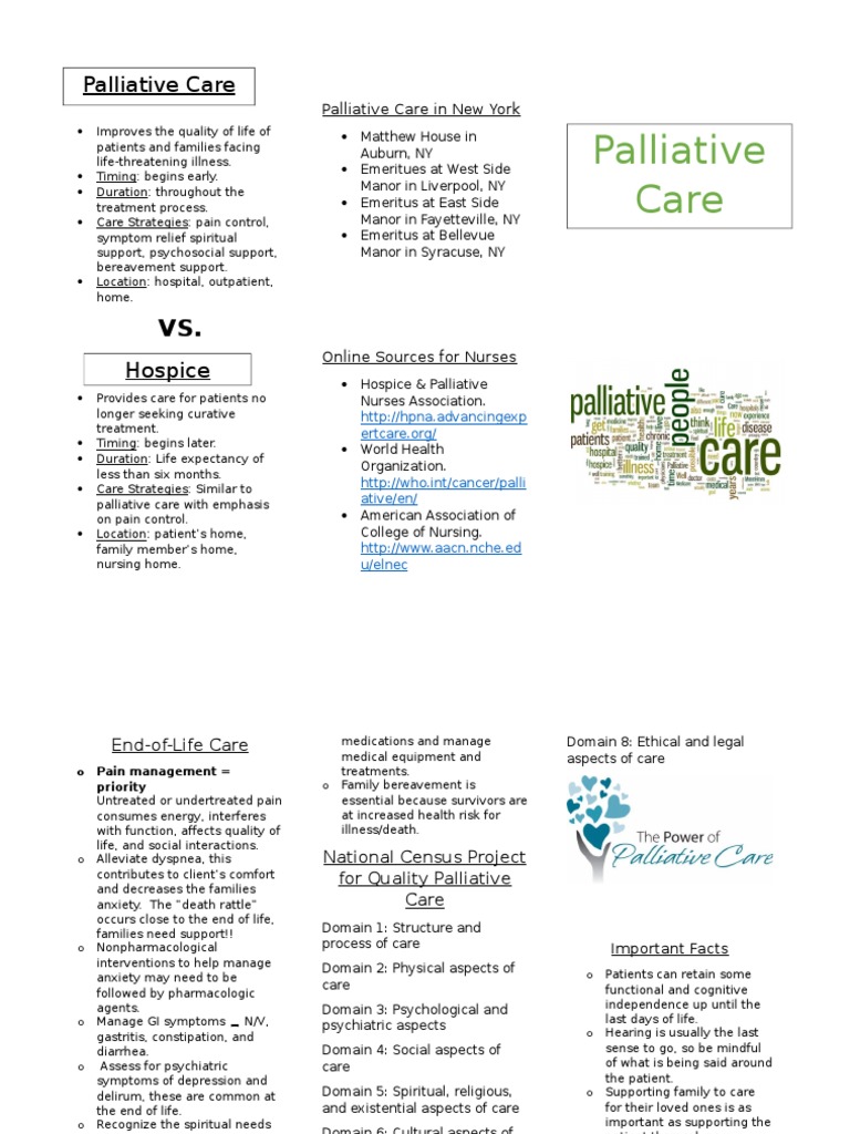 Palliative Care Overview and Strategies | PDF | Palliative Care | End ...