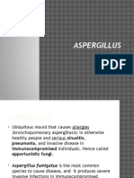 Aspergillus: Opportunistic Fungus Causing Allergies and Invasive Disease