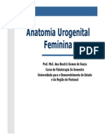 Anatomia Urogenital Feminina