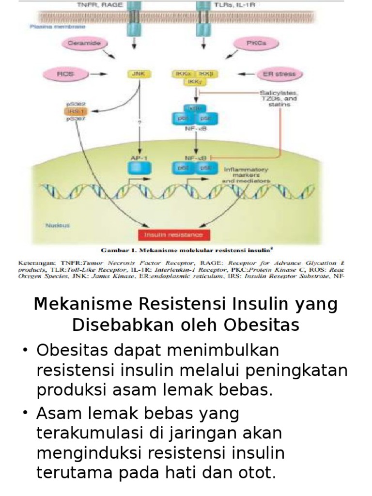 Insulin | PDF